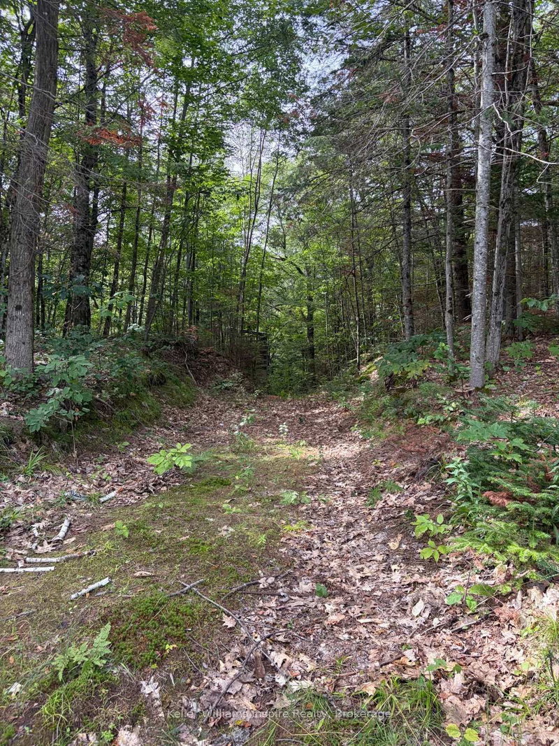 181 Chemaushgon Road