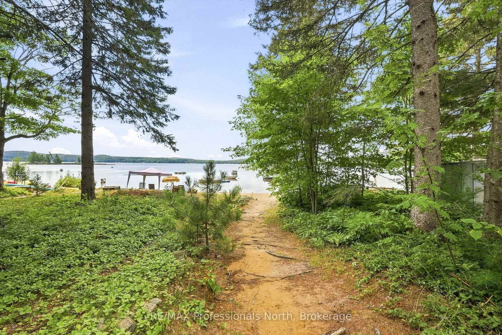 85 Buckley's Road • Kearney, ON photo 3
