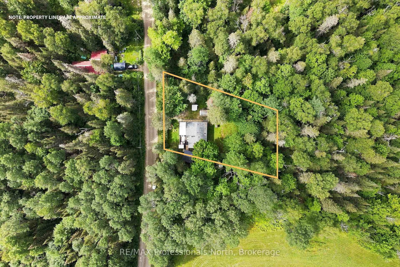 85 Buckley's Road • Kearney, ON photo 5