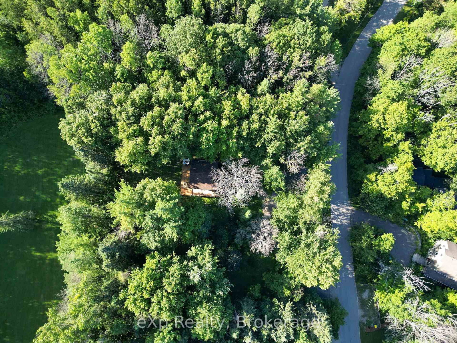 272 Bowles Bluff Road • Grey Highlands, ON photo 35