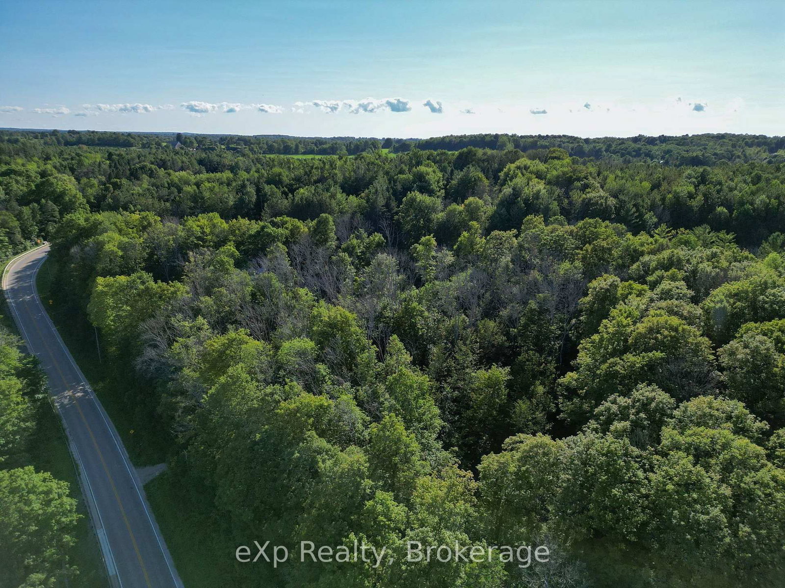 272 Bowles Bluff Road • Grey Highlands, ON photo 36