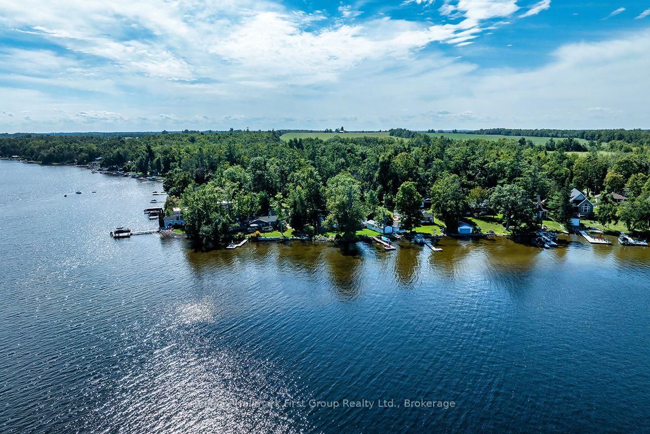210 Wrenhaven Road • Kawartha Lakes, ON photo 5