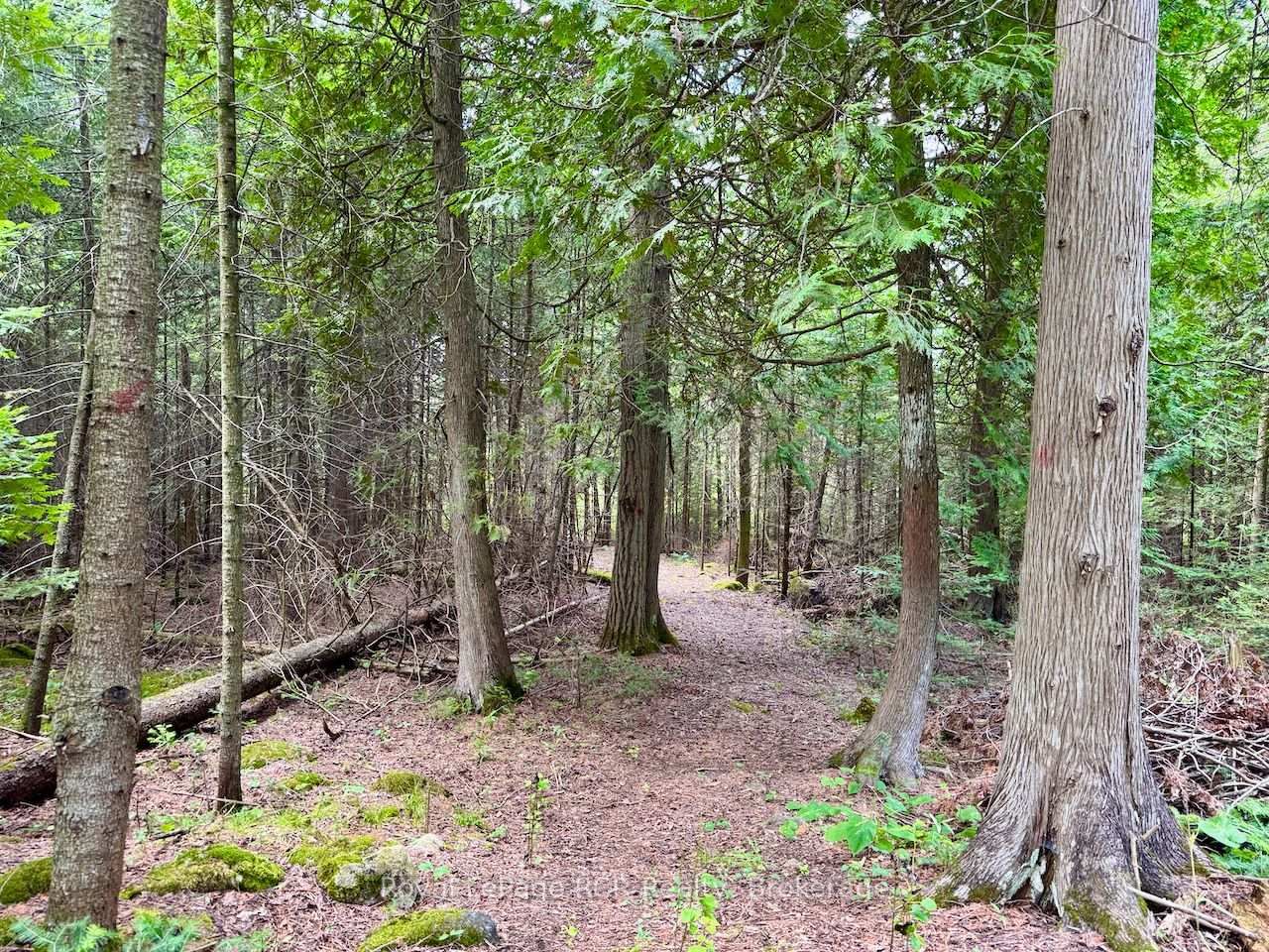 568 Stokes Bay Road • Northern Bruce Peninsula, ON photo 34