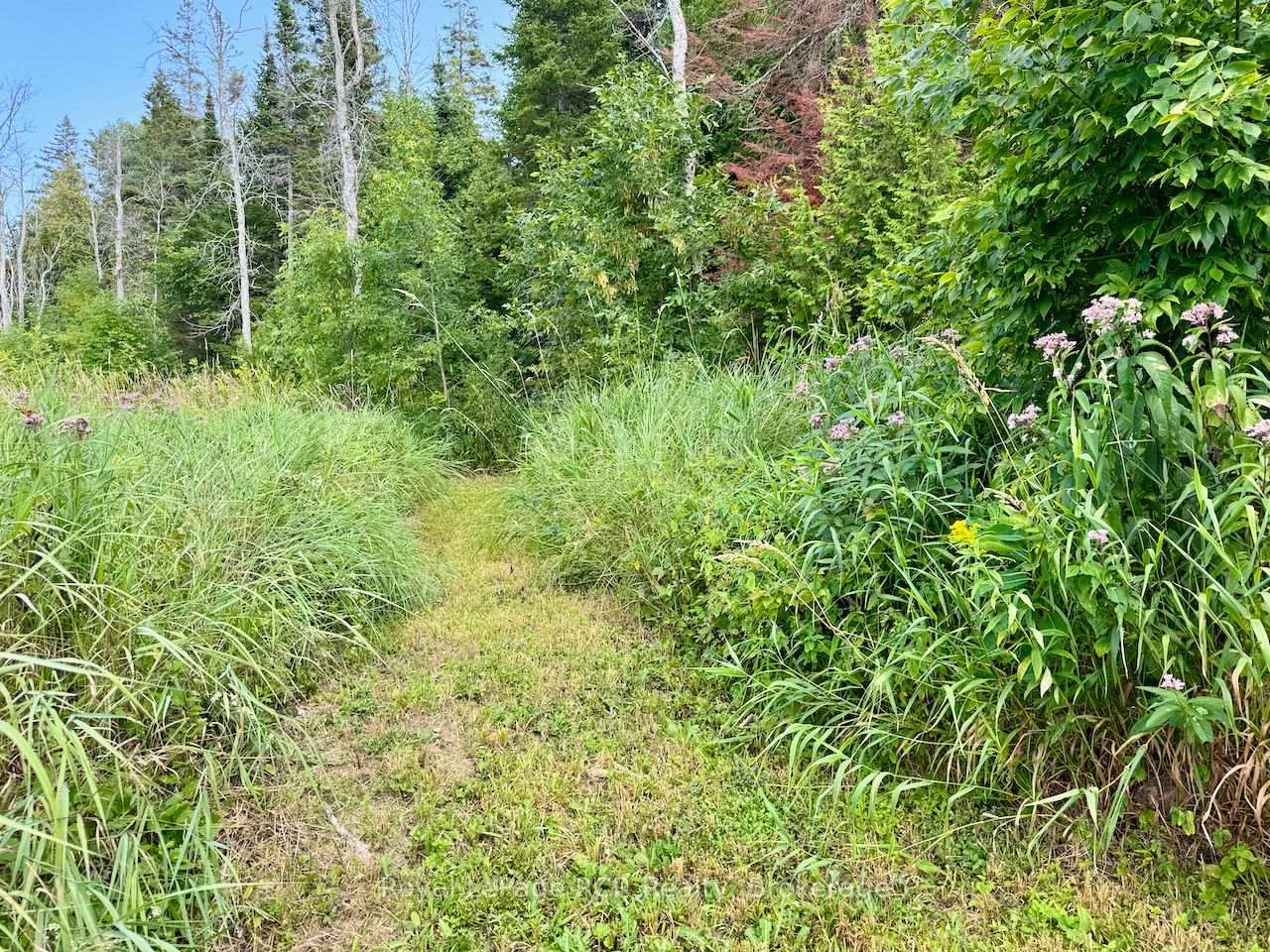 568 Stokes Bay Road • Northern Bruce Peninsula, ON photo 36