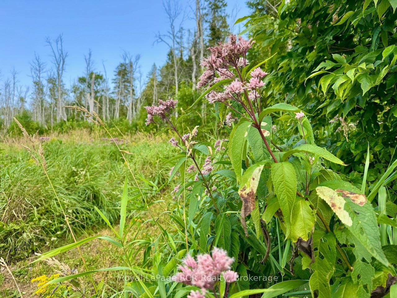 568 Stokes Bay Road • Northern Bruce Peninsula, ON photo 37