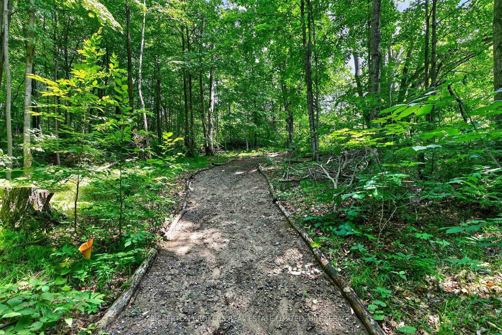 224 Big Hill Road • Leeds and the Thousand Islands, ON photo 49