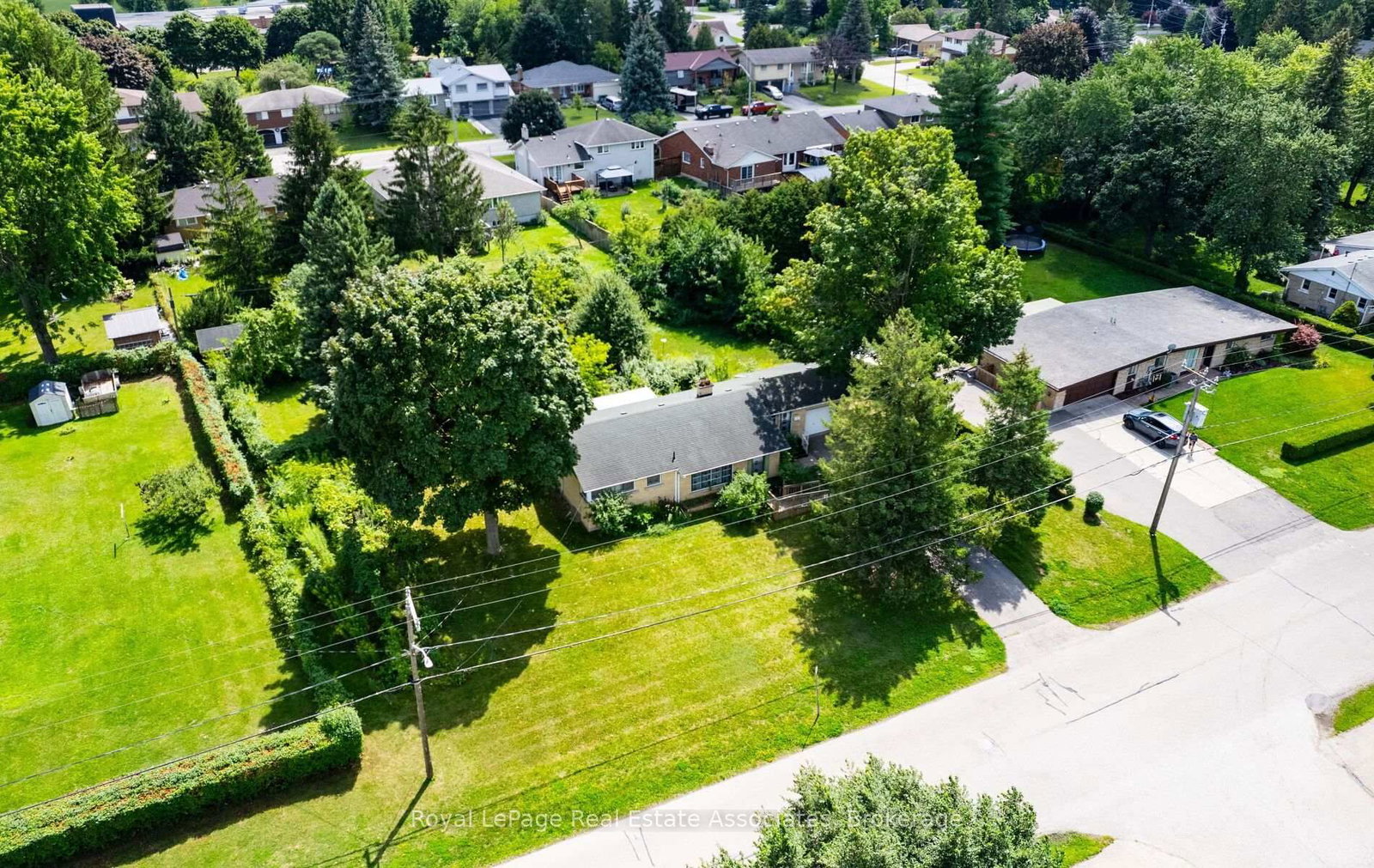 27 Rothsay Avenue • Kitchener, ON photo 2