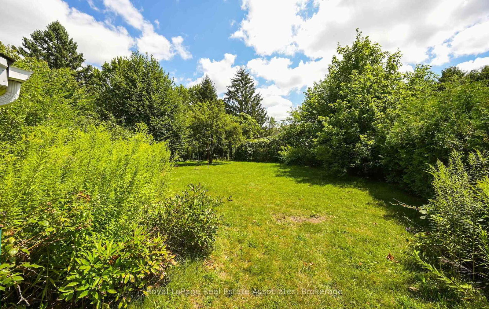 27 Rothsay Avenue • Kitchener, ON photo 25