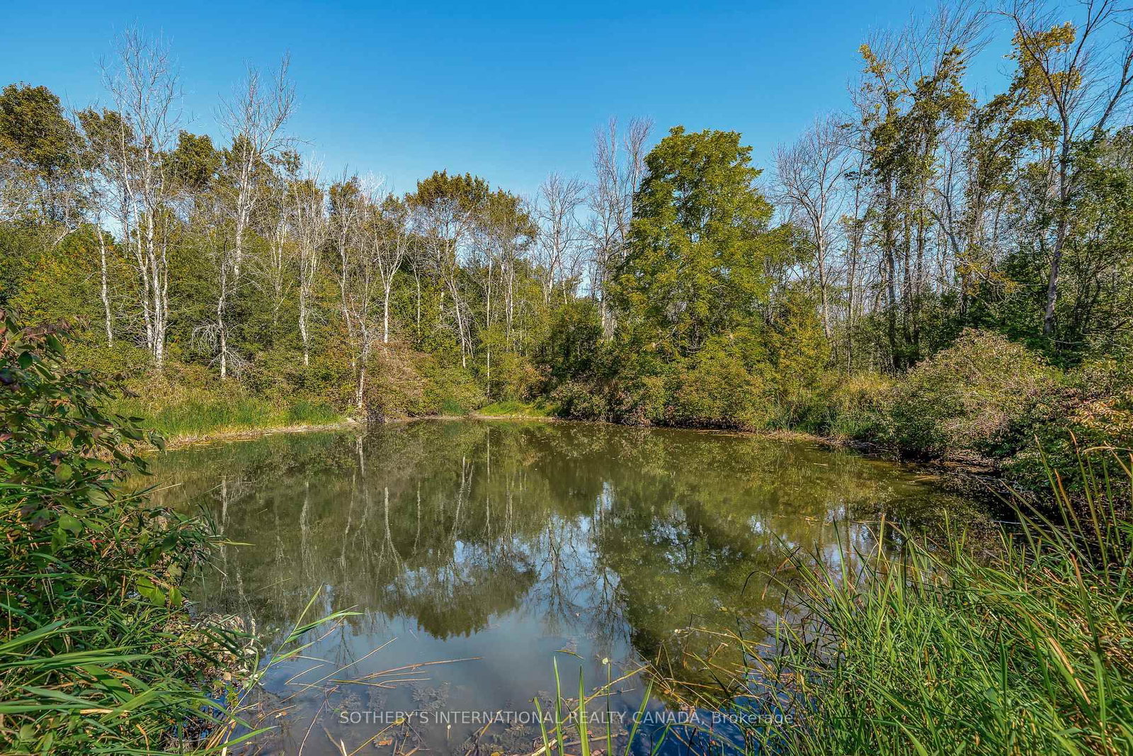 220 Easterbrook Road S • Prince Edward County, ON photo 49