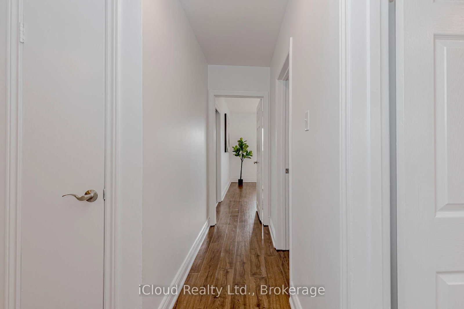 28 Hoffman Street • Kitchener, ON photo 23