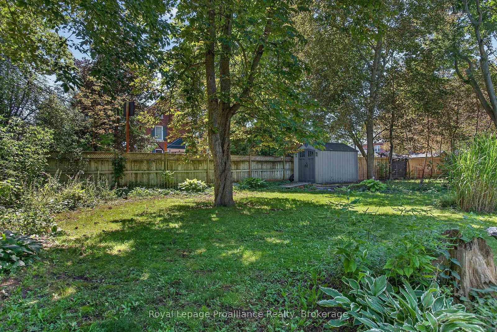 71 Lansdowne Street W • Peterborough, ON photo 45