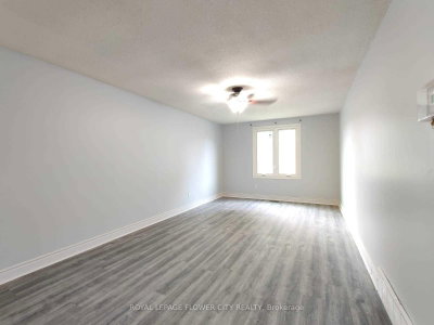 49 Mccrae Drive • Welland, ON photo 3