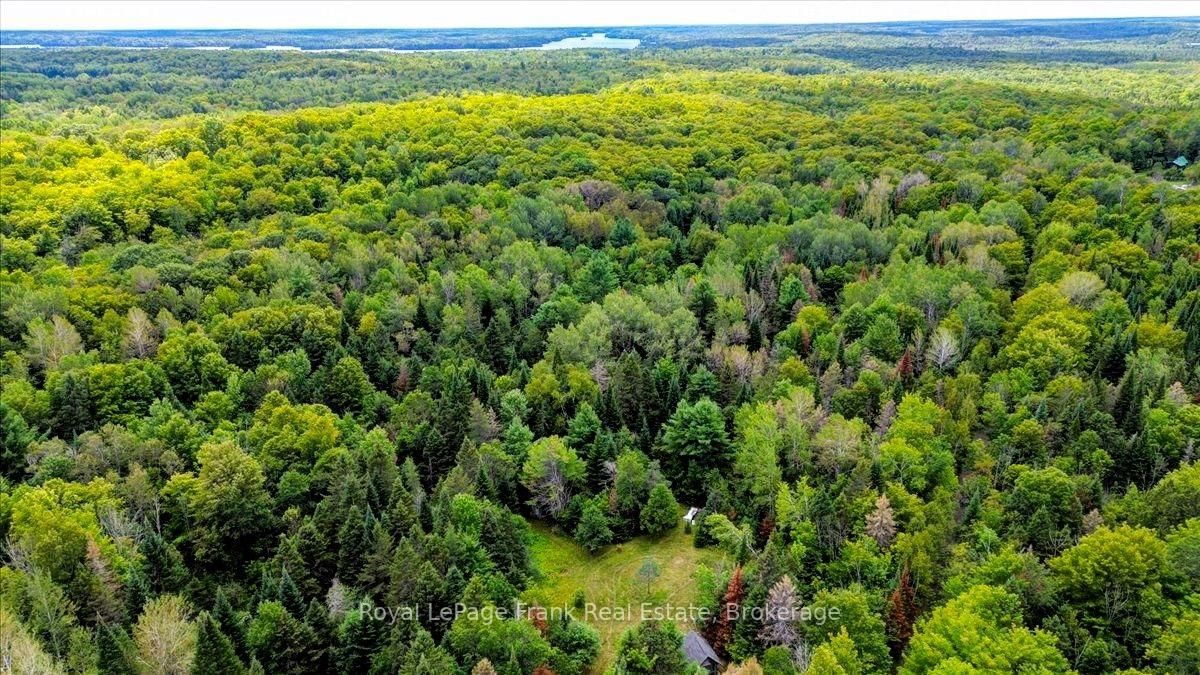 0 North Rusaw Road • North Kawartha, ON photo 11