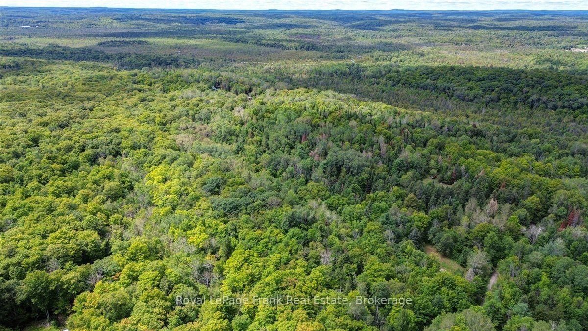 0 North Rusaw Road • North Kawartha, ON photo 17