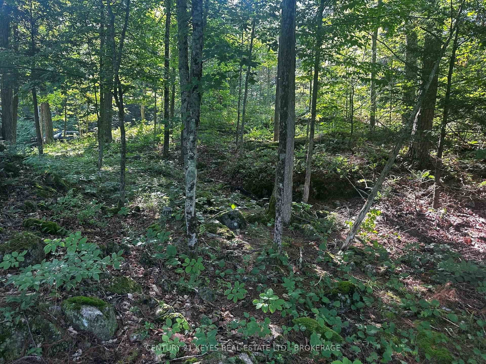 434 MOORHEAD Lane • Front of Leeds & Seeleys Bay, ON photo 3