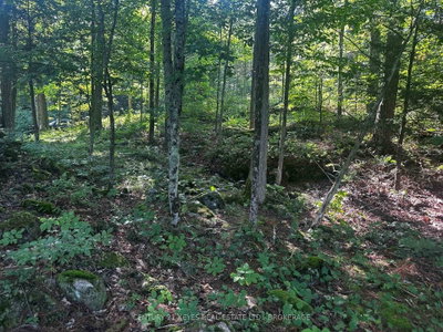 434 MOORHEAD Lane • Front of Leeds & Seeleys Bay, ON photo 3