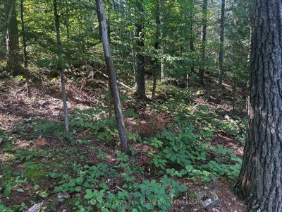 434 MOORHEAD Lane • Front of Leeds & Seeleys Bay, ON photo 4