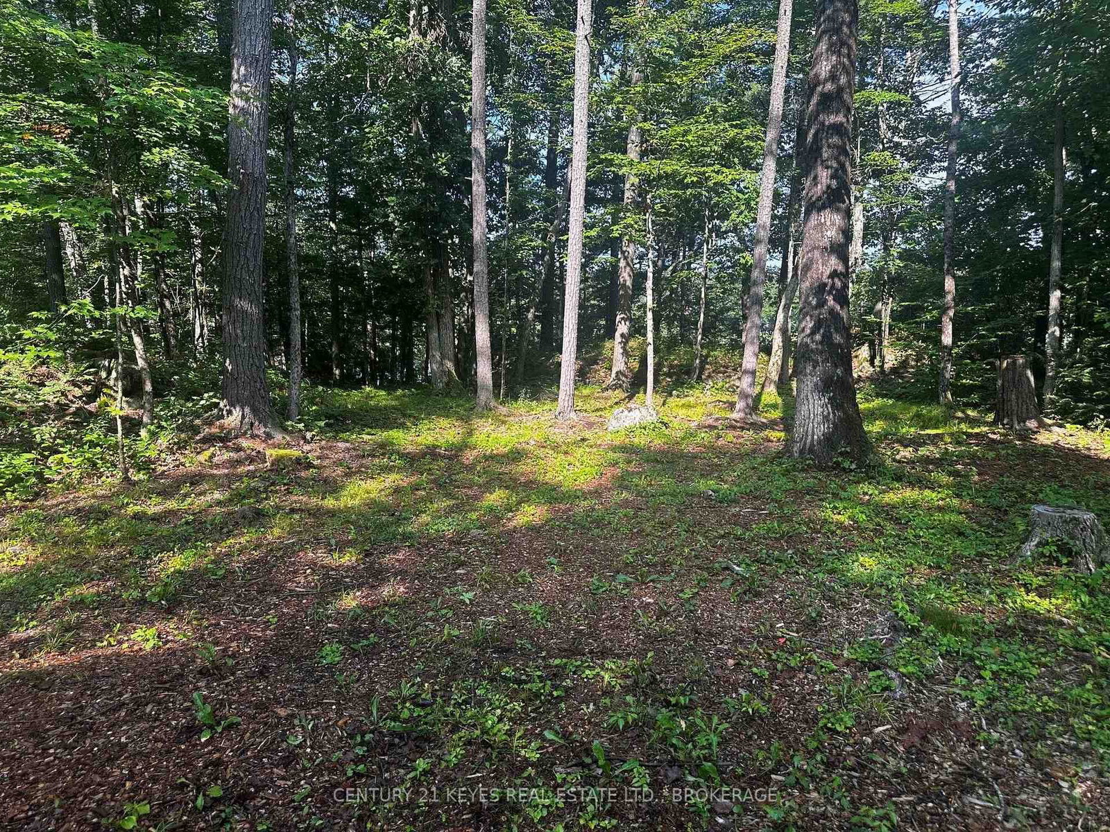 434 MOORHEAD Lane • Front of Leeds & Seeleys Bay, ON photo 6