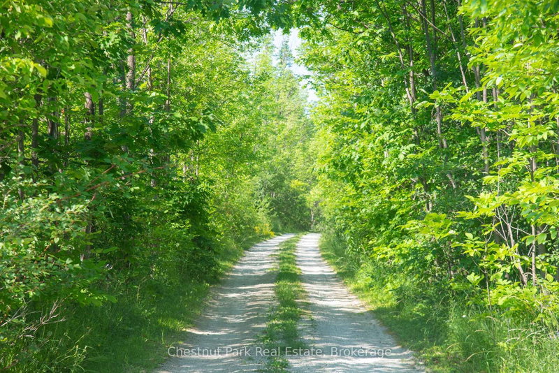 137 39th Side Road