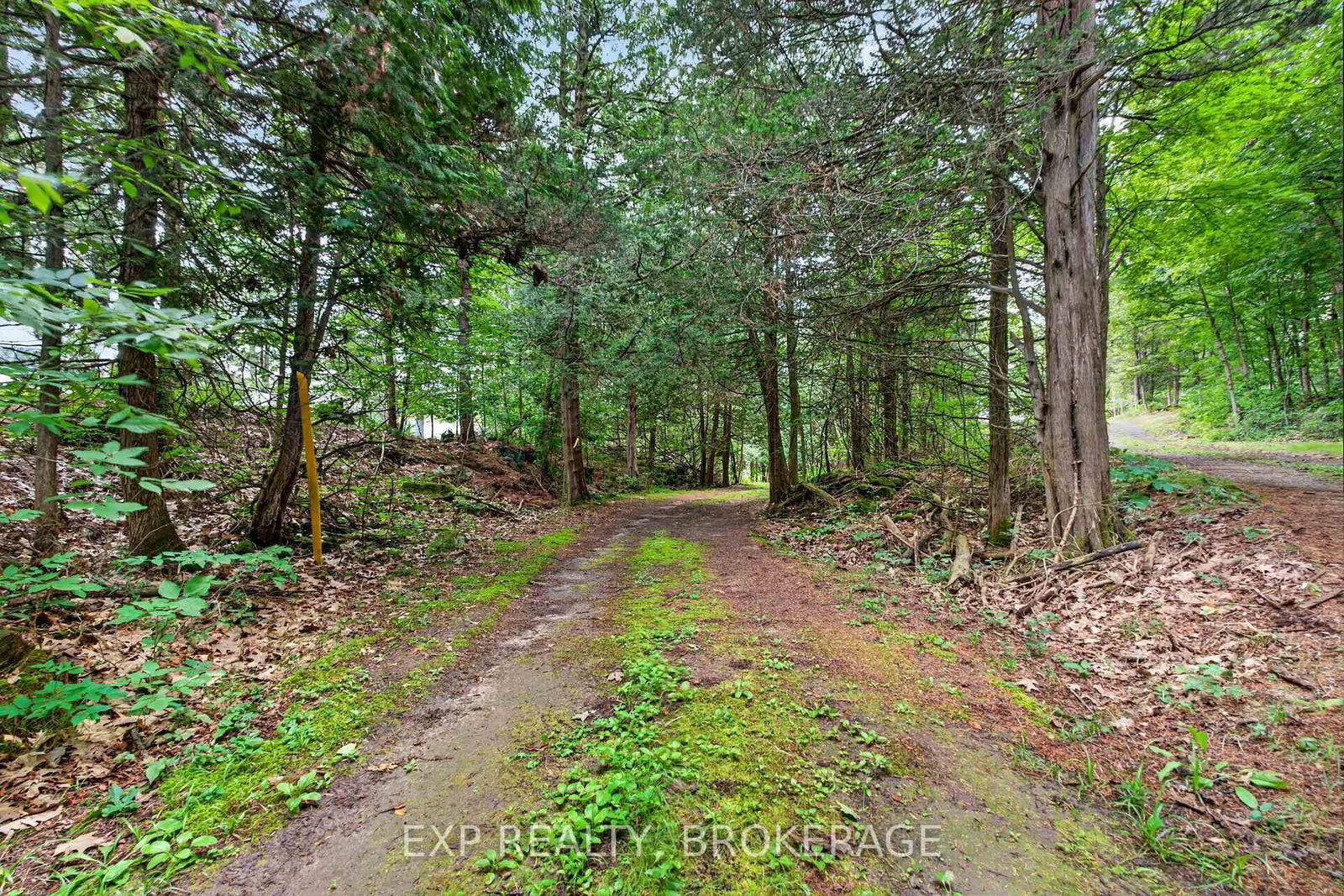 PT LT 23 CON 7 PEBBLE Lane S • Perth Road, ON photo 11