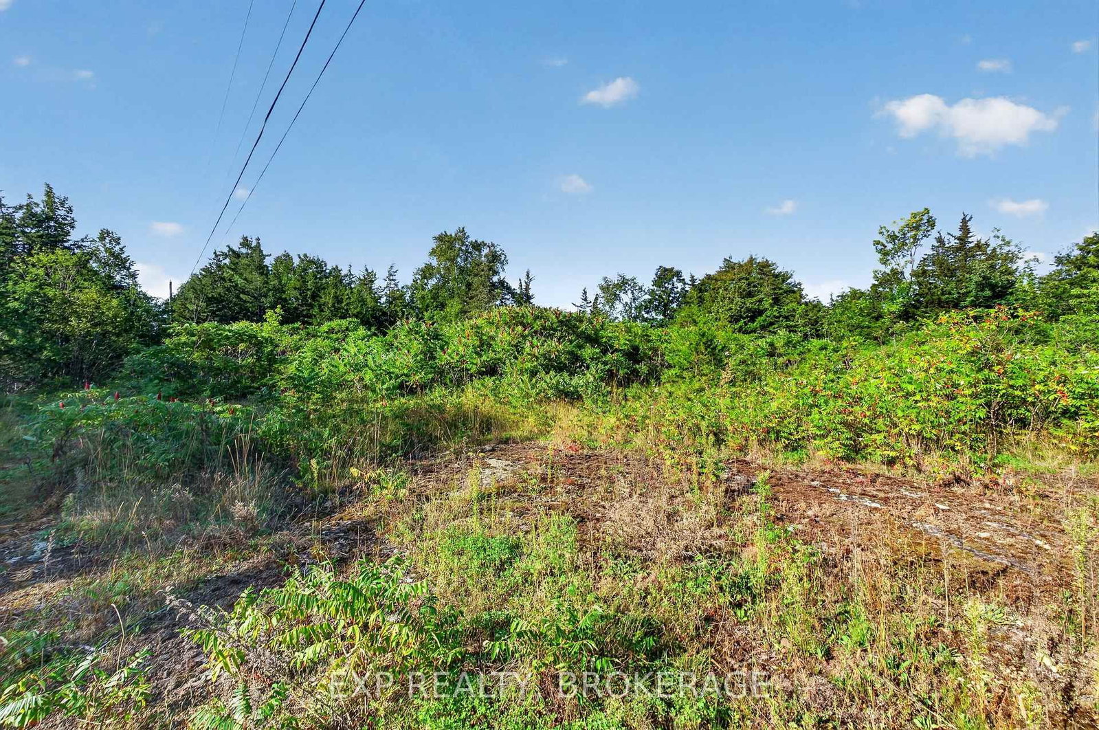 PT LT 23 CON 7 PEBBLE Lane S • Perth Road, ON photo 12