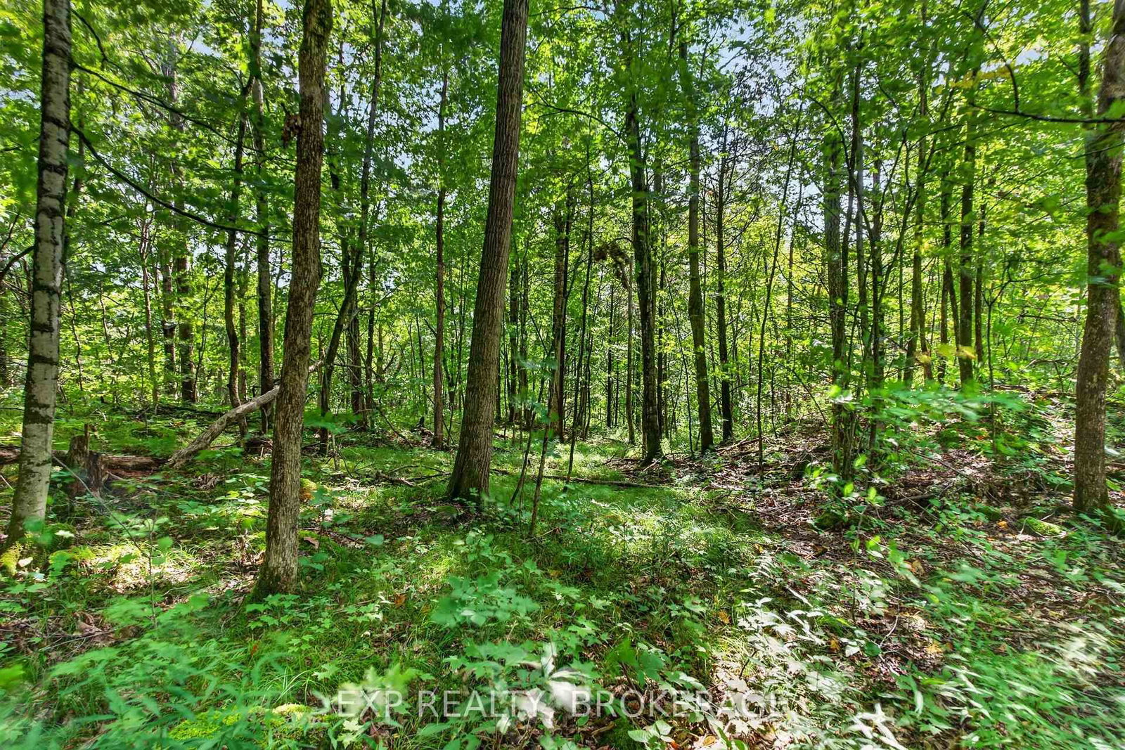 PT LT 23 CON 7 PEBBLE Lane S • Perth Road, ON photo 14