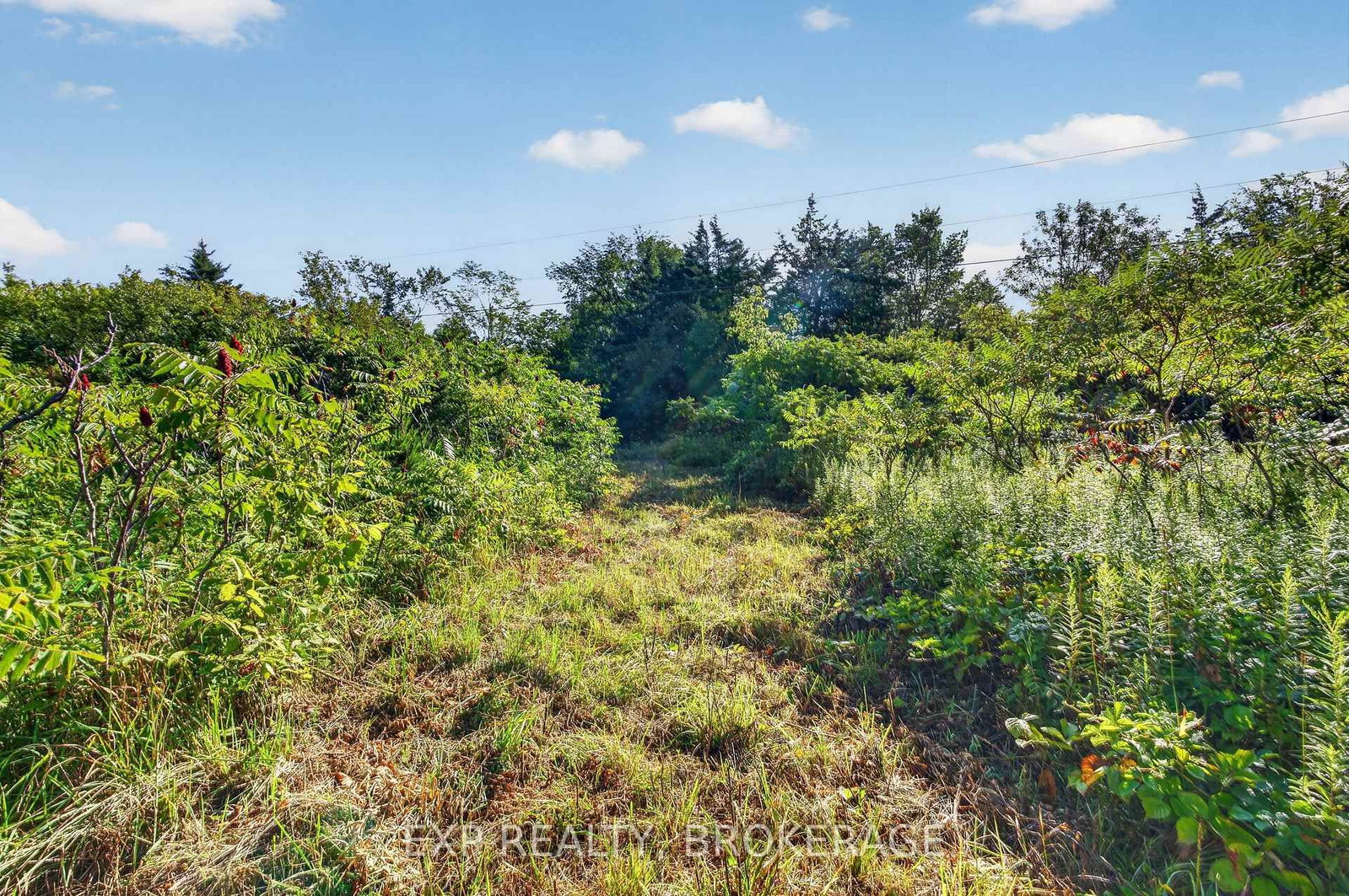 PT LT 23 CON 7 PEBBLE Lane S • Perth Road, ON photo 16