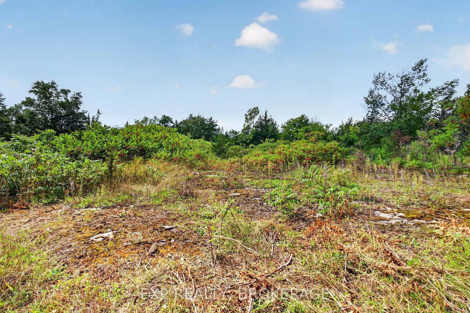 PT LT 23 CON 7 PEBBLE Lane S • Perth Road, ON photo 18
