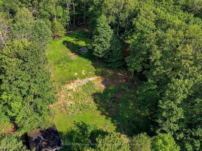 1312 Clement Lake Road • Highlands East, ON photo 9