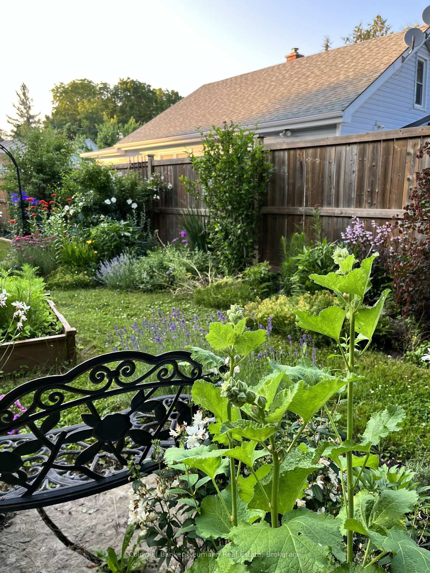 99 Emma St, Guelph, view 23