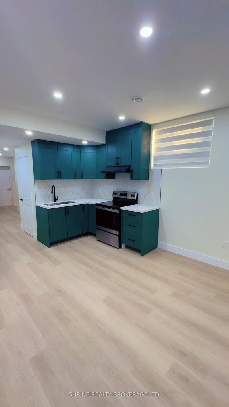 Basement - 3843 Petalpath Way