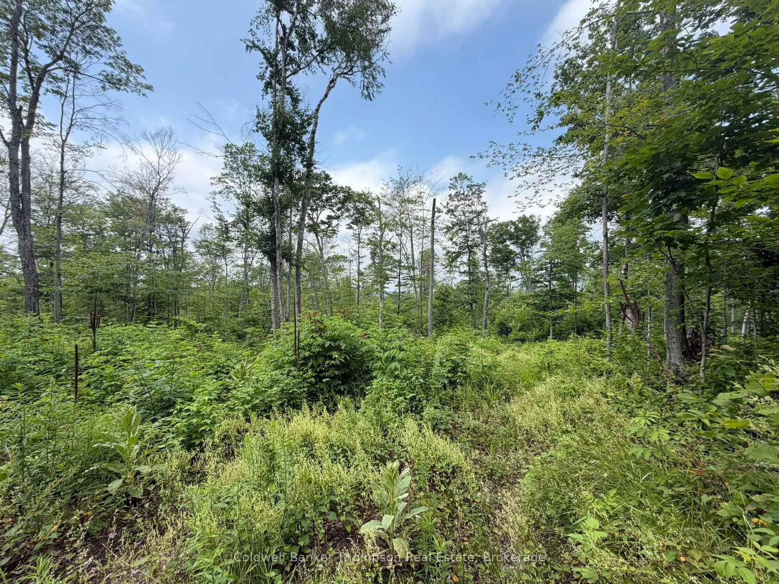 Lot 10 Con 3 G Rye Road/Granite Hill Road • Nipissing, ON photo 10