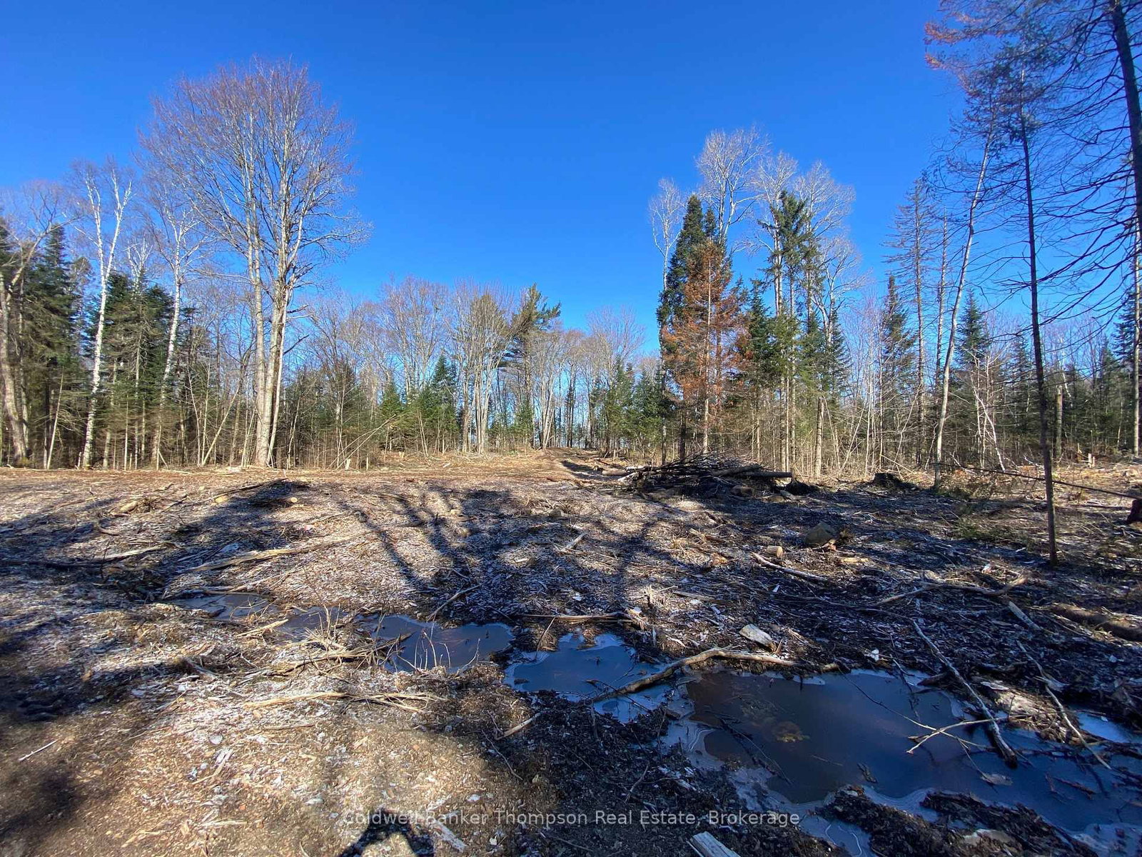 Lot 10 Con 3 G Rye Road/Granite Hill Road • Nipissing, ON photo 15