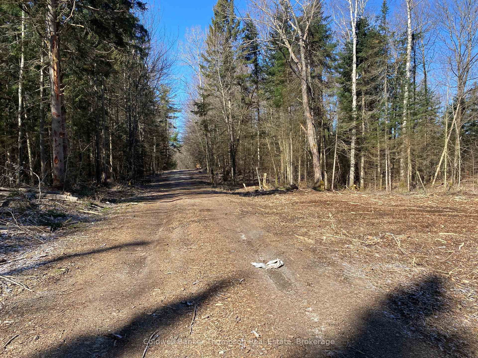 Lot 10 Con 3 G Rye Road/Granite Hill Road • Nipissing, ON photo 17