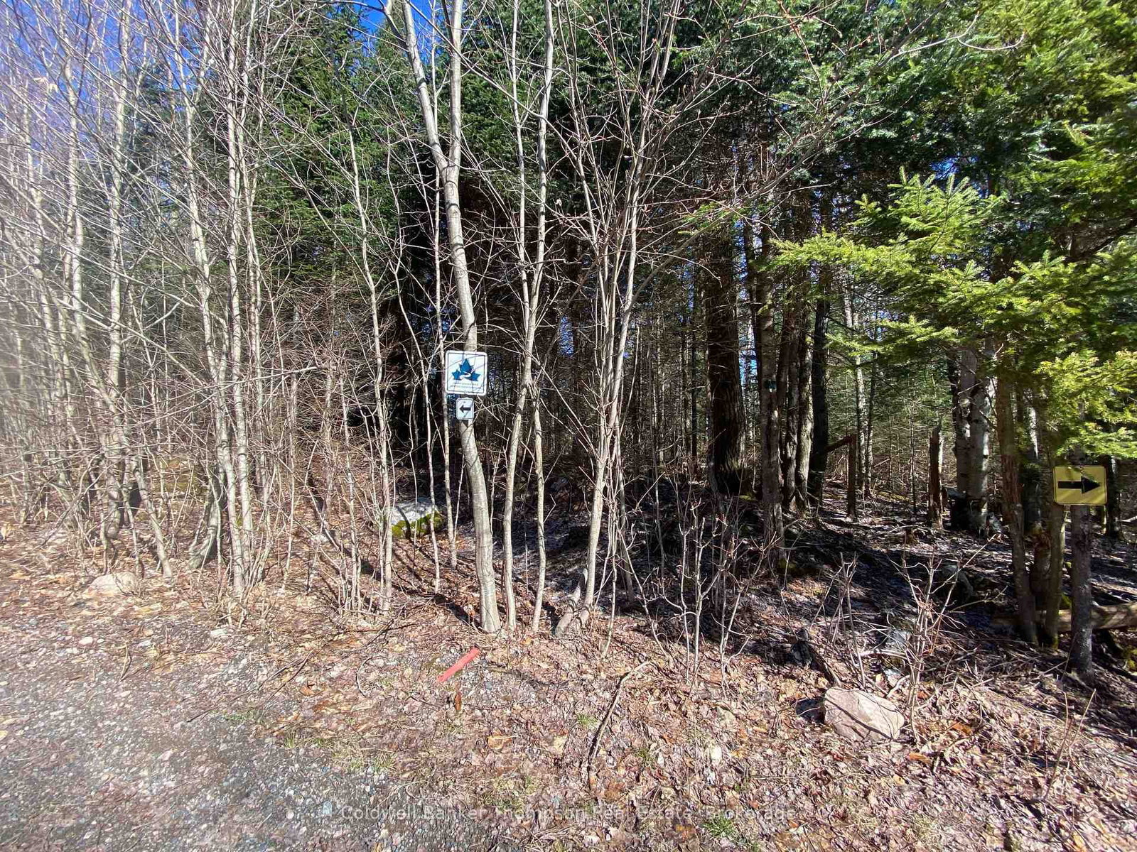Lot 10 Con 3 G Rye Road/Granite Hill Road • Nipissing, ON photo 18