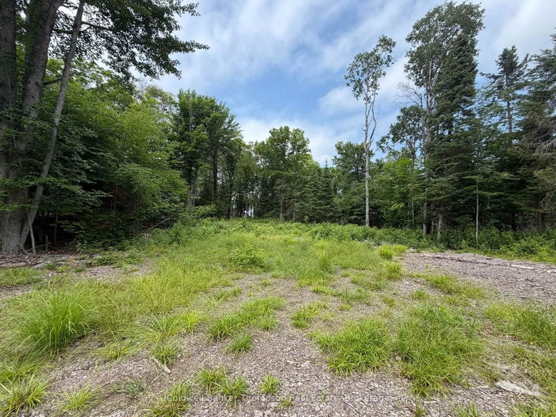 Lot 10 Con 3 G Rye Road/Granite Hill Road