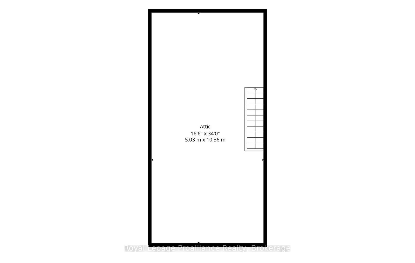 104 inkerman Street • Trent Hills, ON photo 39
