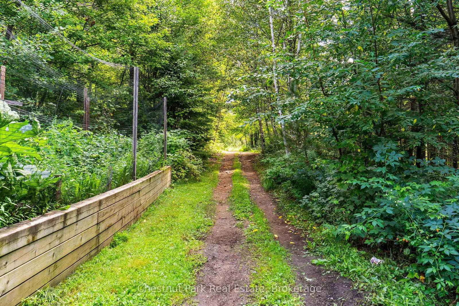 521 Old Muskoka Road • Huntsville, ON photo 36