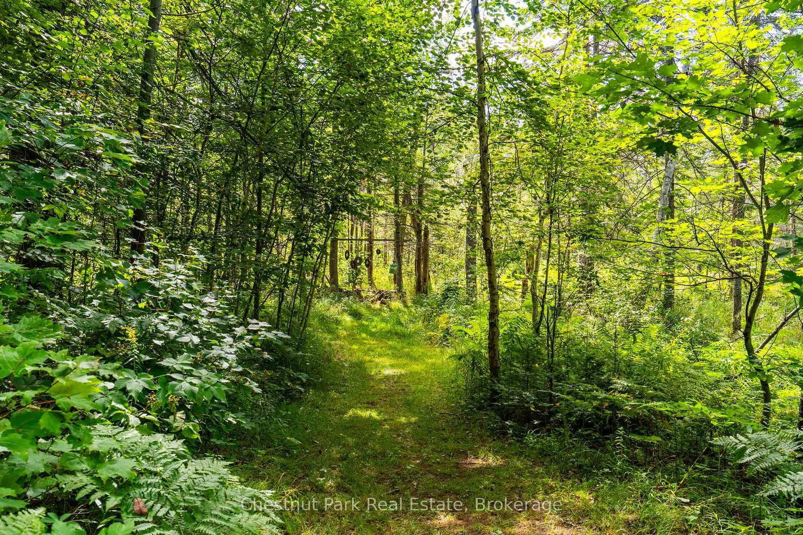 521 Old Muskoka Road • Huntsville, ON photo 39