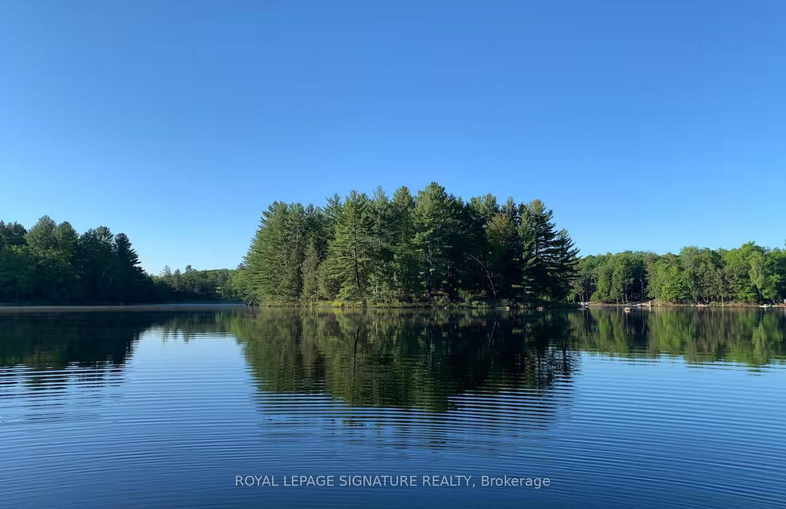 1018 Clearwater Shores Boulevard • Muskoka Lakes, ON photo 37
