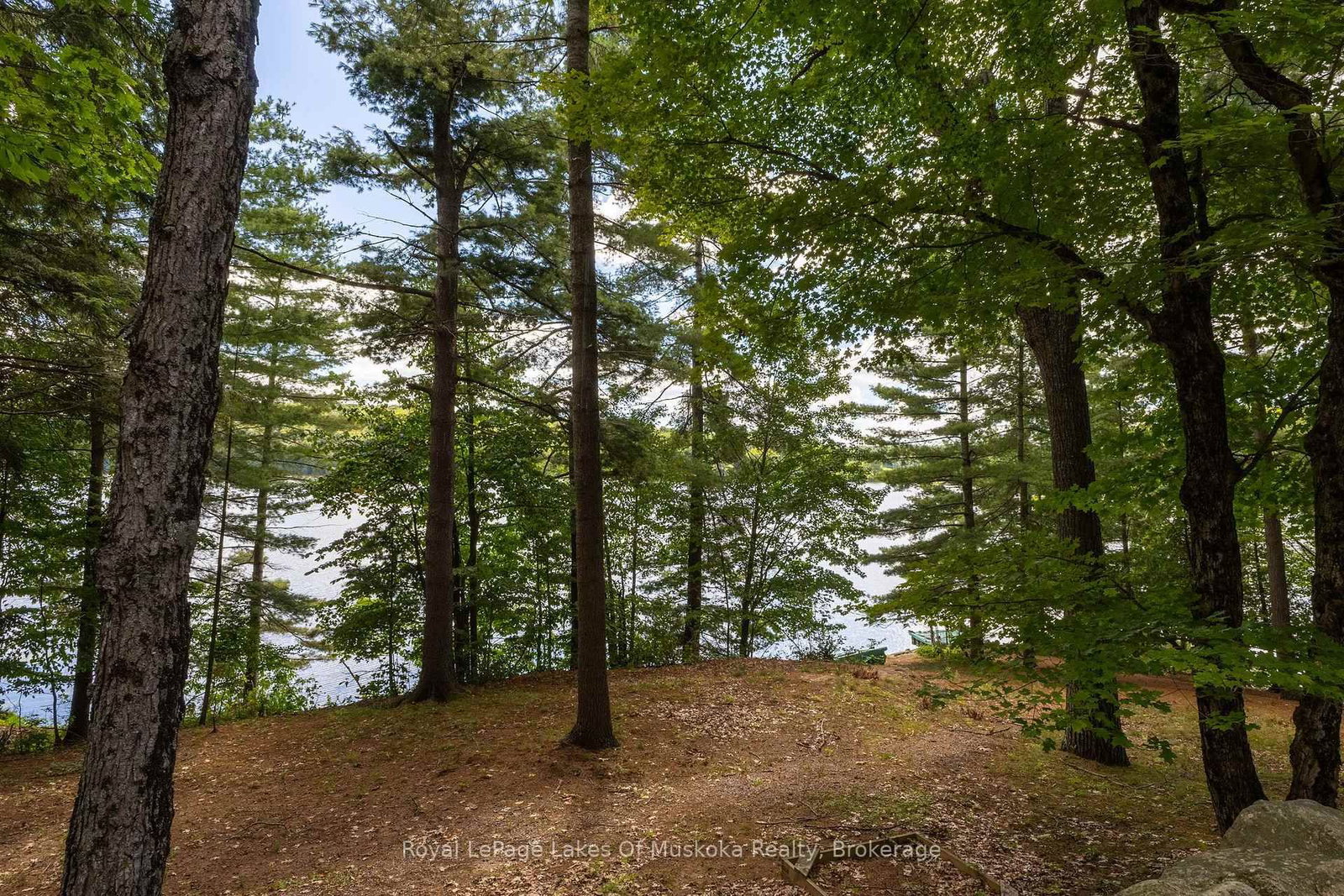 Listing Image 45