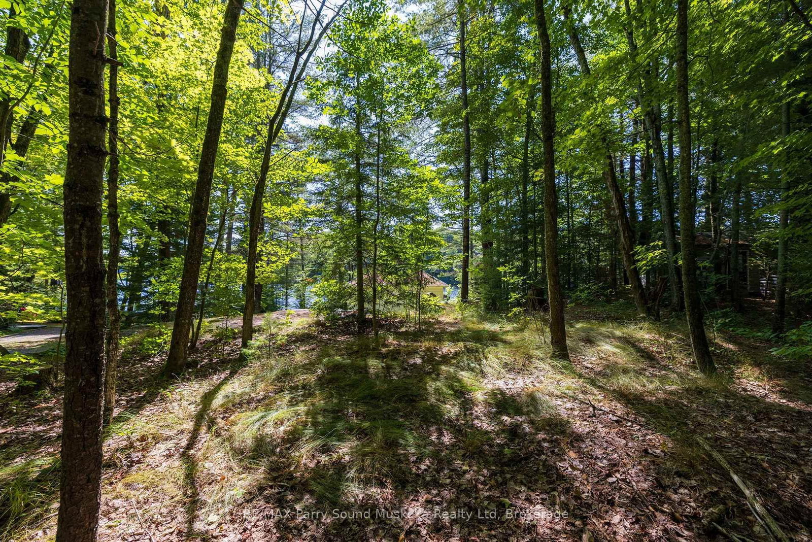 Listing Image 33