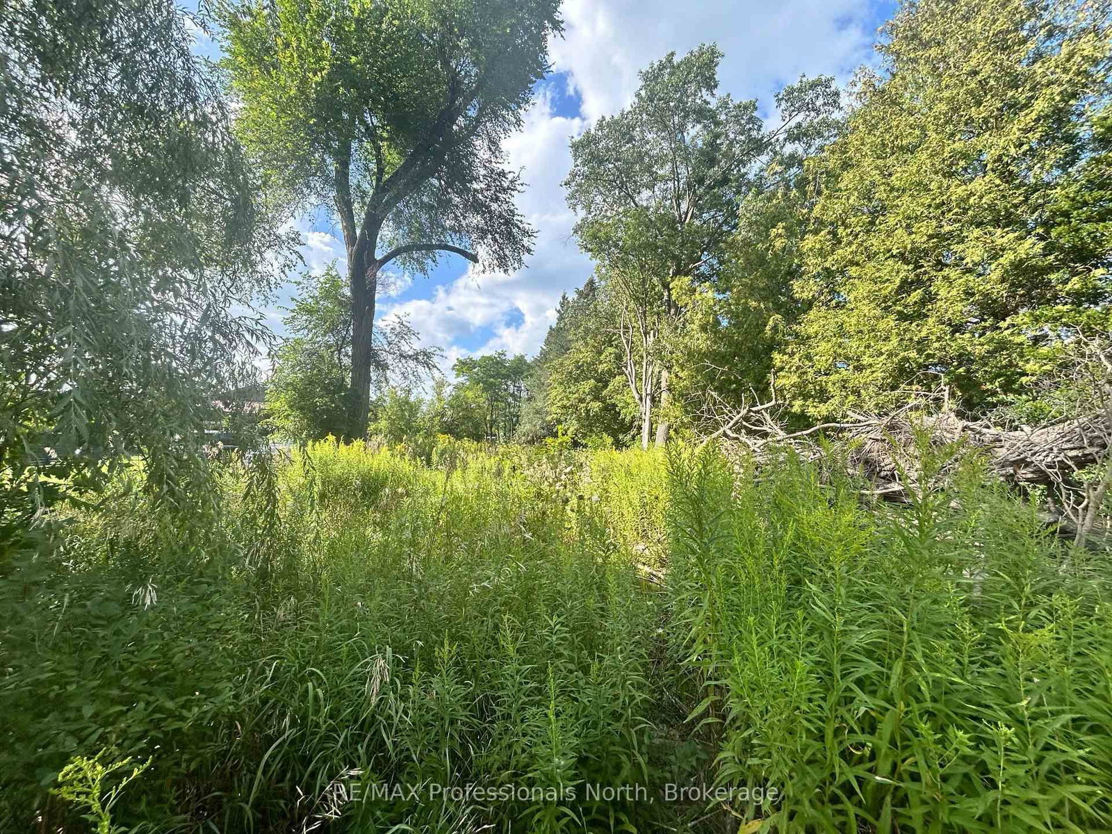 4437 Highway 7 • Kawartha Lakes, ON photo 1