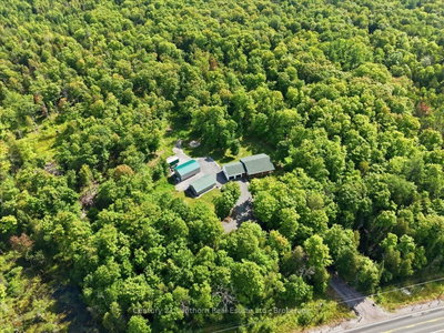 18448 Highway 62 • Madoc, ON photo 4