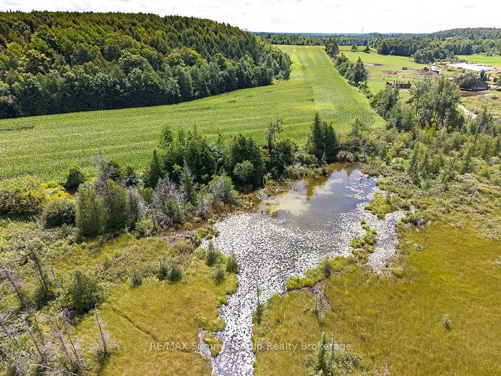 449686 10th Concession Road • Grey Highlands, ON photo 39