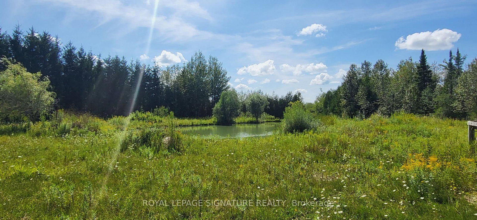 555178 Mono Amaranth Townline • Amaranth, ON photo 27