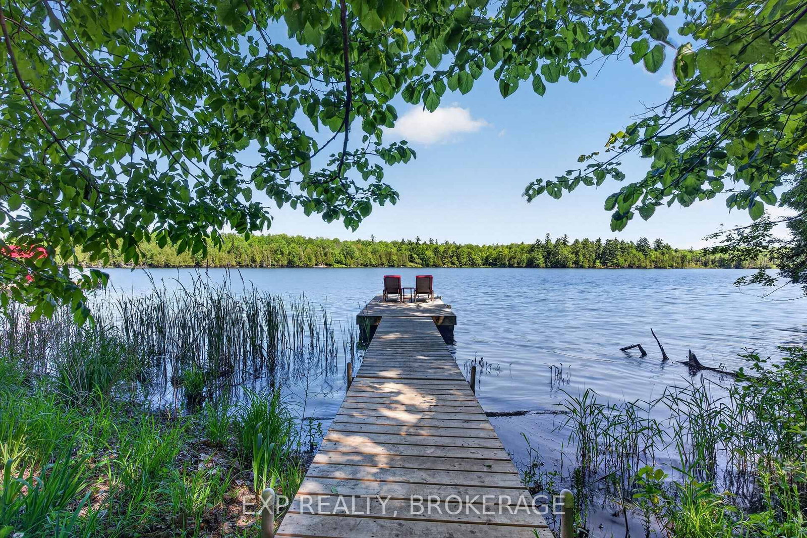 1210 RICHARD BRANNIGAN Trail • Godfrey, ON photo 38