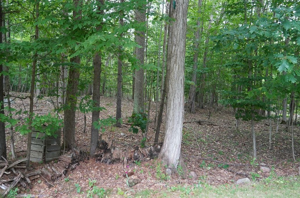 Listing Image 29