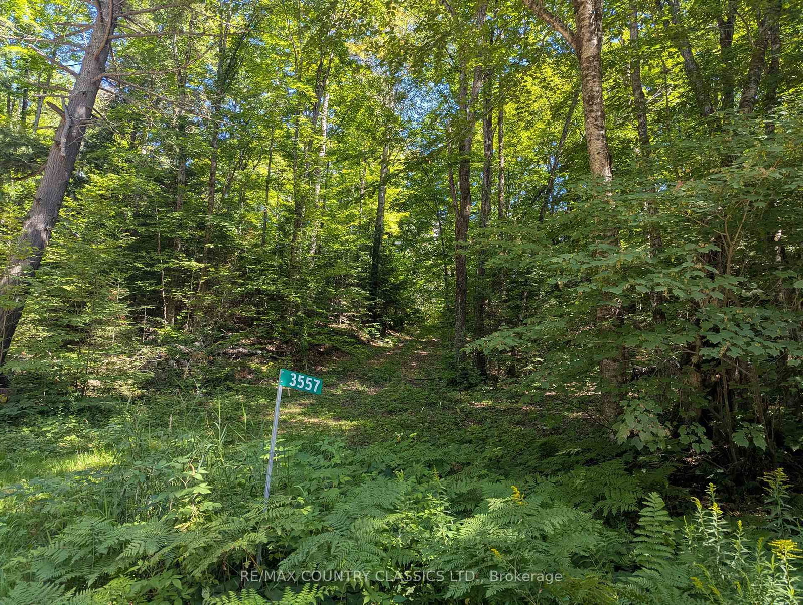 3557 Mountainview Road • Killaloe, ON photo 1