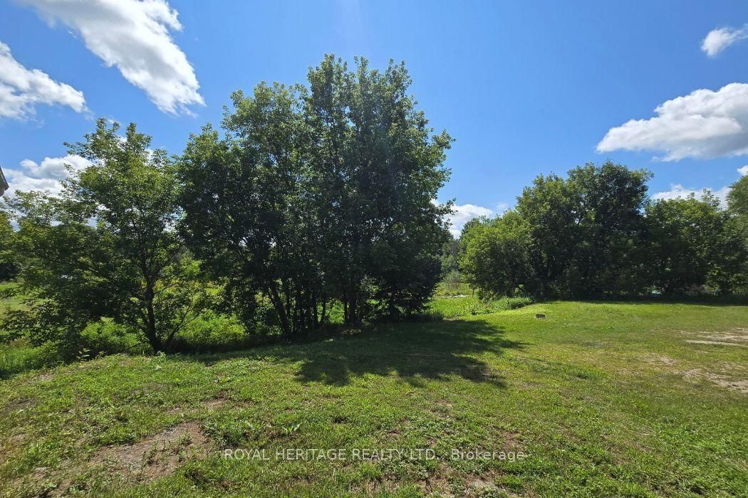 1009 Elm Tree Road • Arden, ON photo 19
